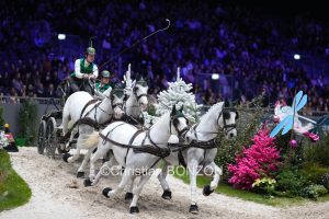 CHI_attelage_dimanche019