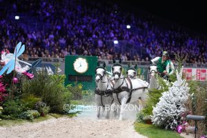 CHI_attelage_dimanche021