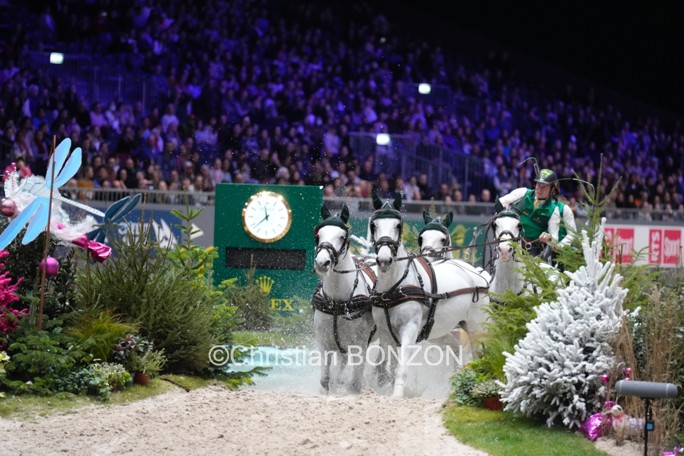 CHI_attelage_dimanche021