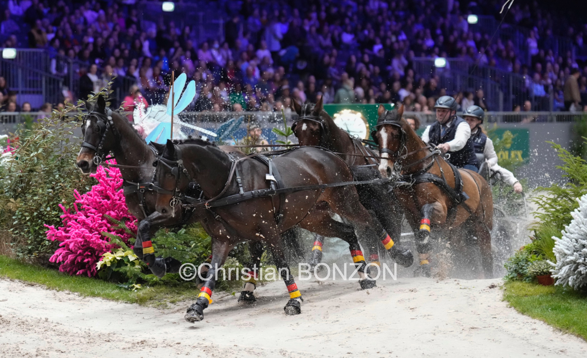 CHI_attelage_dimanche025