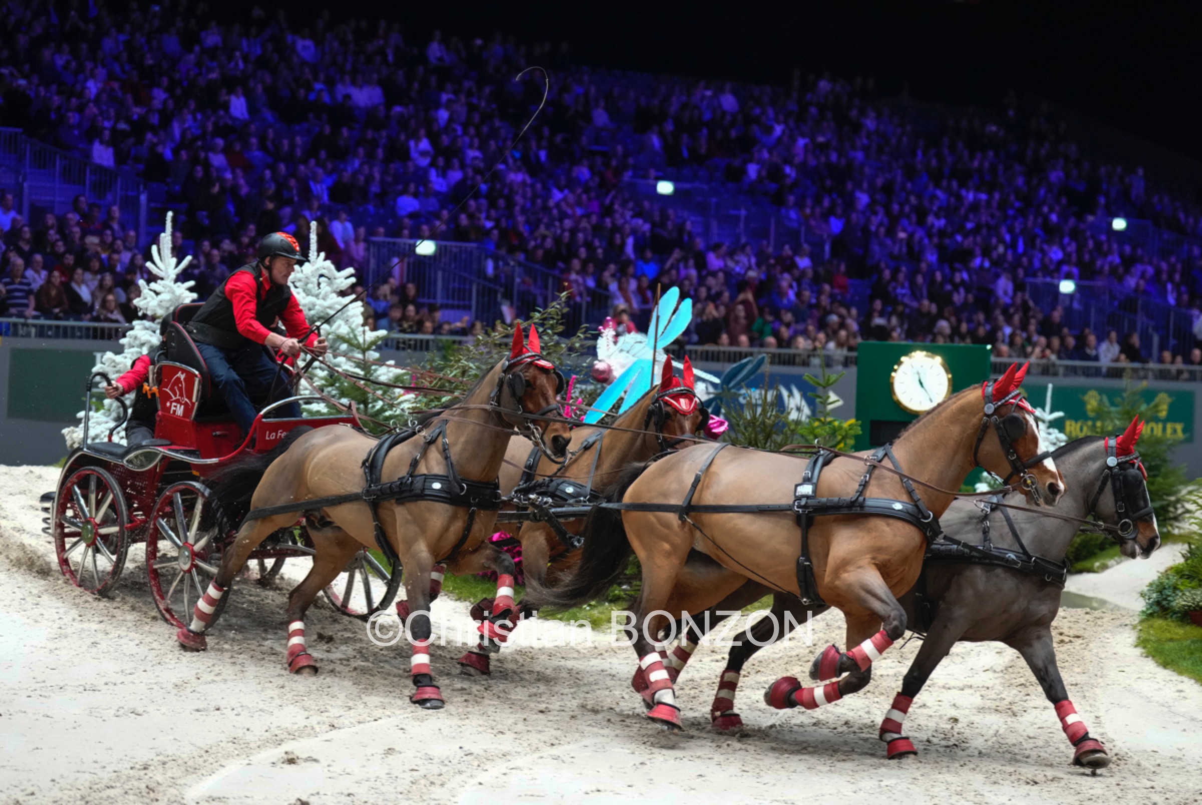 CHI_attelage_dimanche027