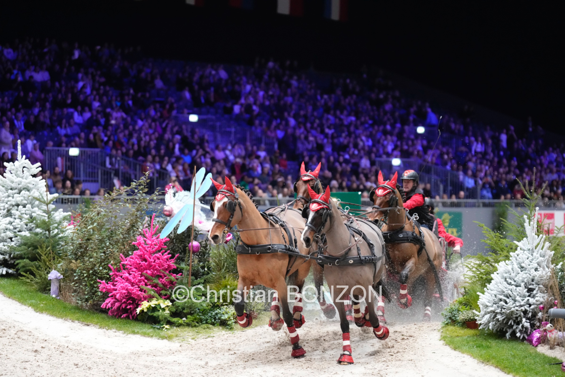 CHI_attelage_dimanche028