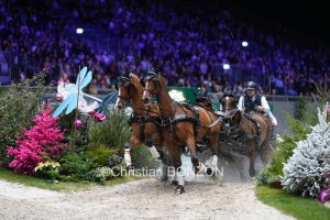 CHI_attelage_dimanche030