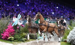 CHI_attelage_dimanche031