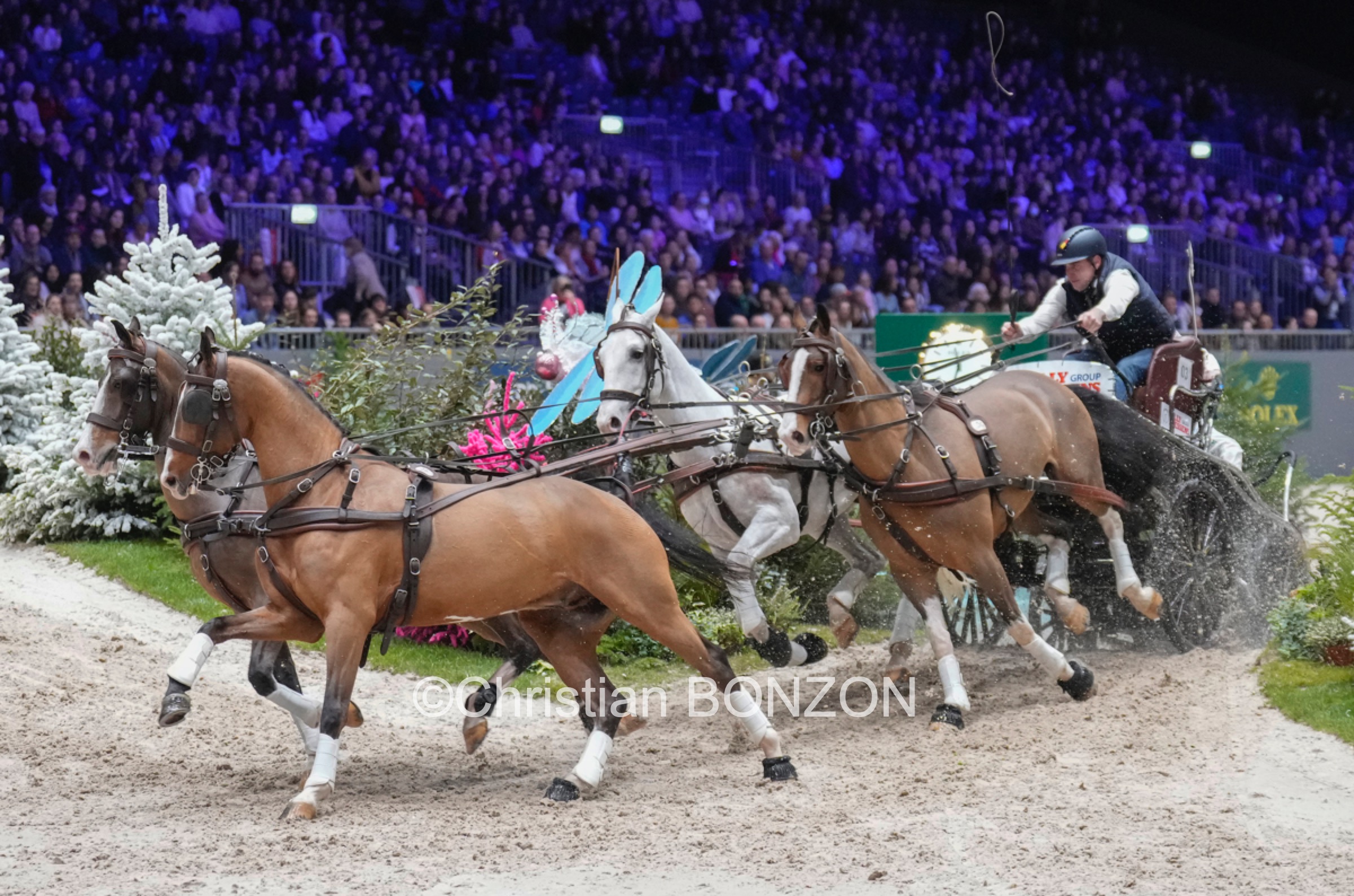 CHI_attelage_dimanche032