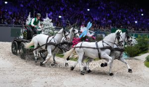 CHI_attelage_dimanche035