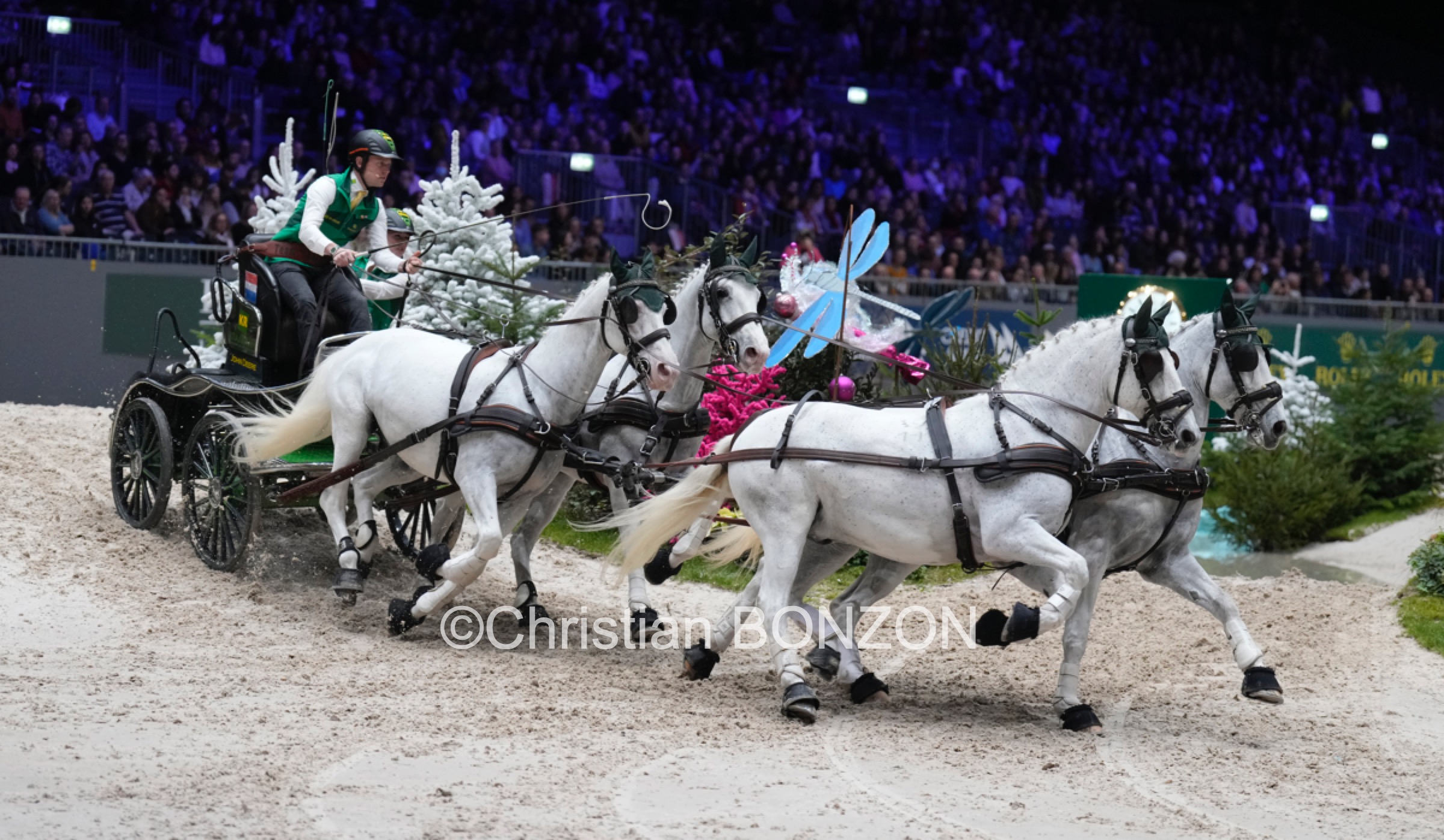 CHI_attelage_dimanche035