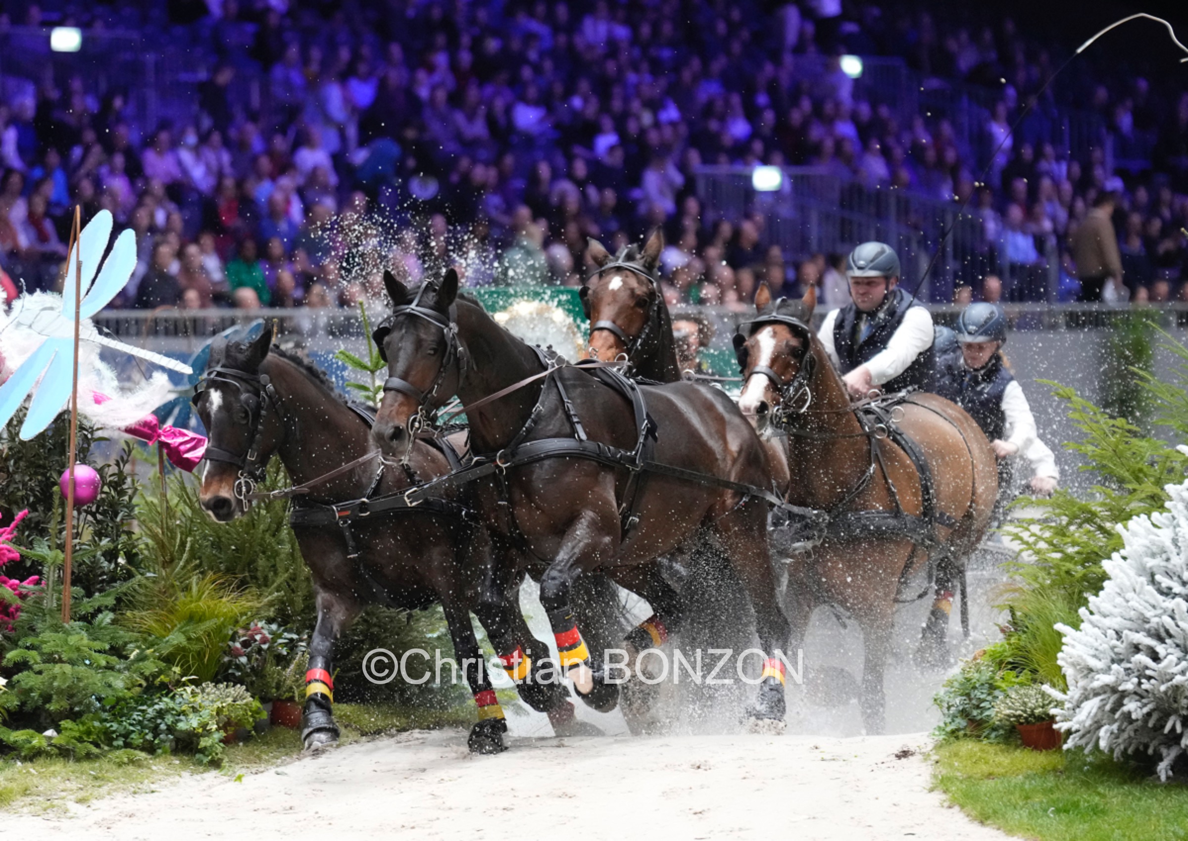 CHI_attelage_dimanche036