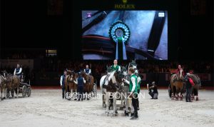 CHI_attelage_dimanche038