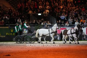 CHI_attelage_dimanche042