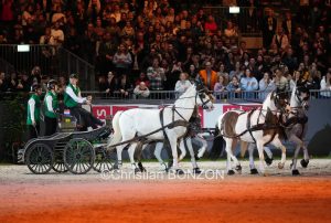 CHI_attelage_dimanche043