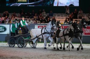 CHI_attelage_dimanche044