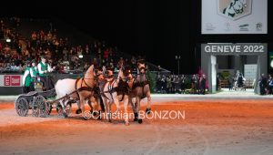 CHI_attelage_dimanche046