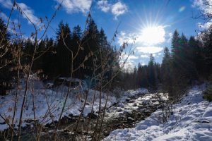 Banc_neige_Schwarzsee003