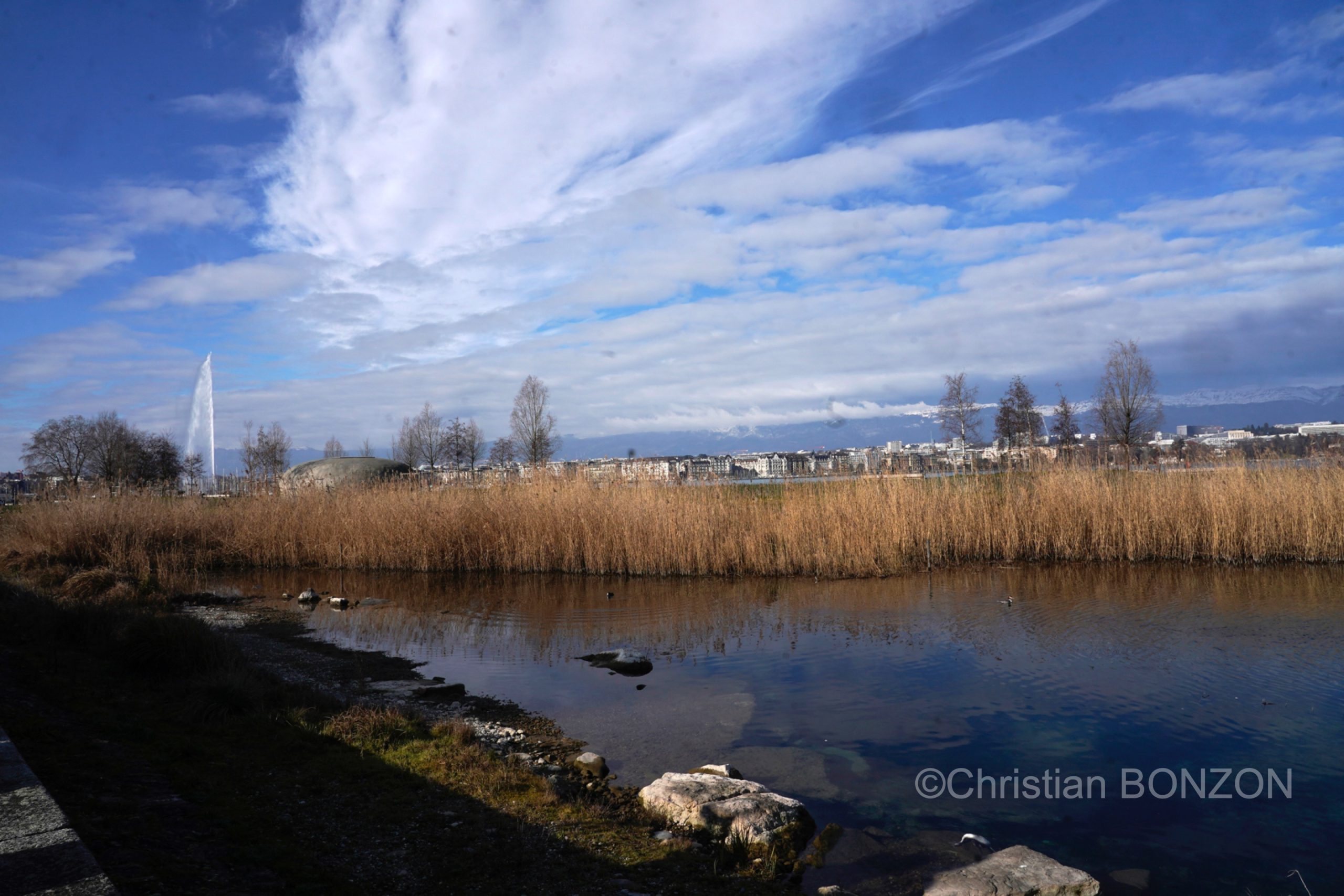 oiseau_journe036e_zone_humide