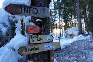 sculptures_gelees_Schwarzsee004