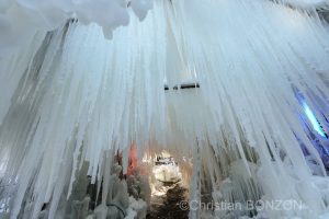 sculptures_gelees_Schwarzsee005