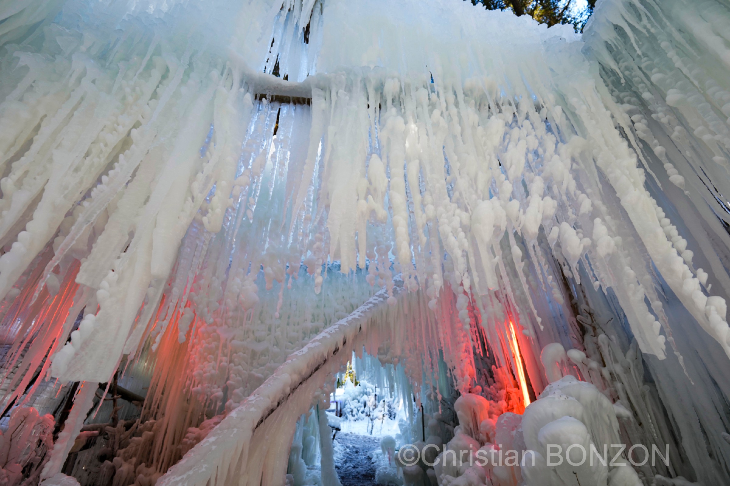 sculptures_gelees_Schwarzsee006