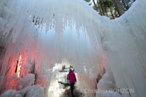 sculptures_gelees_Schwarzsee007