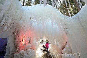 sculptures_gelees_Schwarzsee008