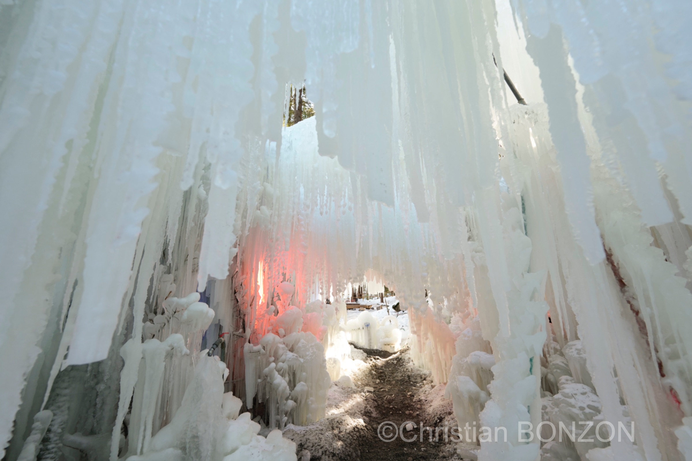 sculptures_gelees_Schwarzsee009