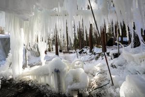 sculptures_gelees_Schwarzsee010