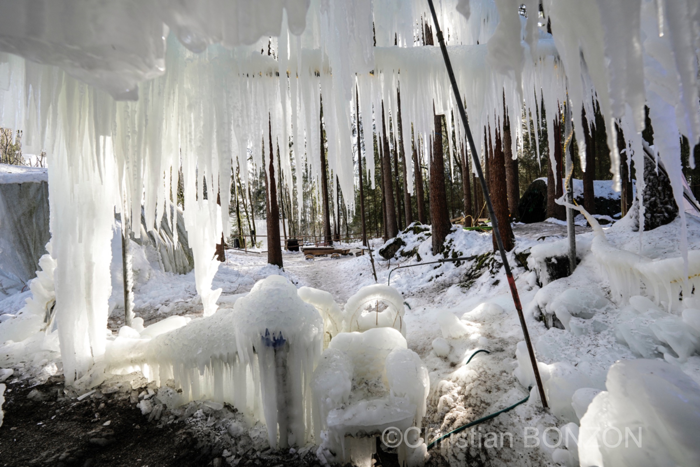 sculptures_gelees_Schwarzsee010