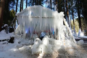 sculptures_gelees_Schwarzsee011