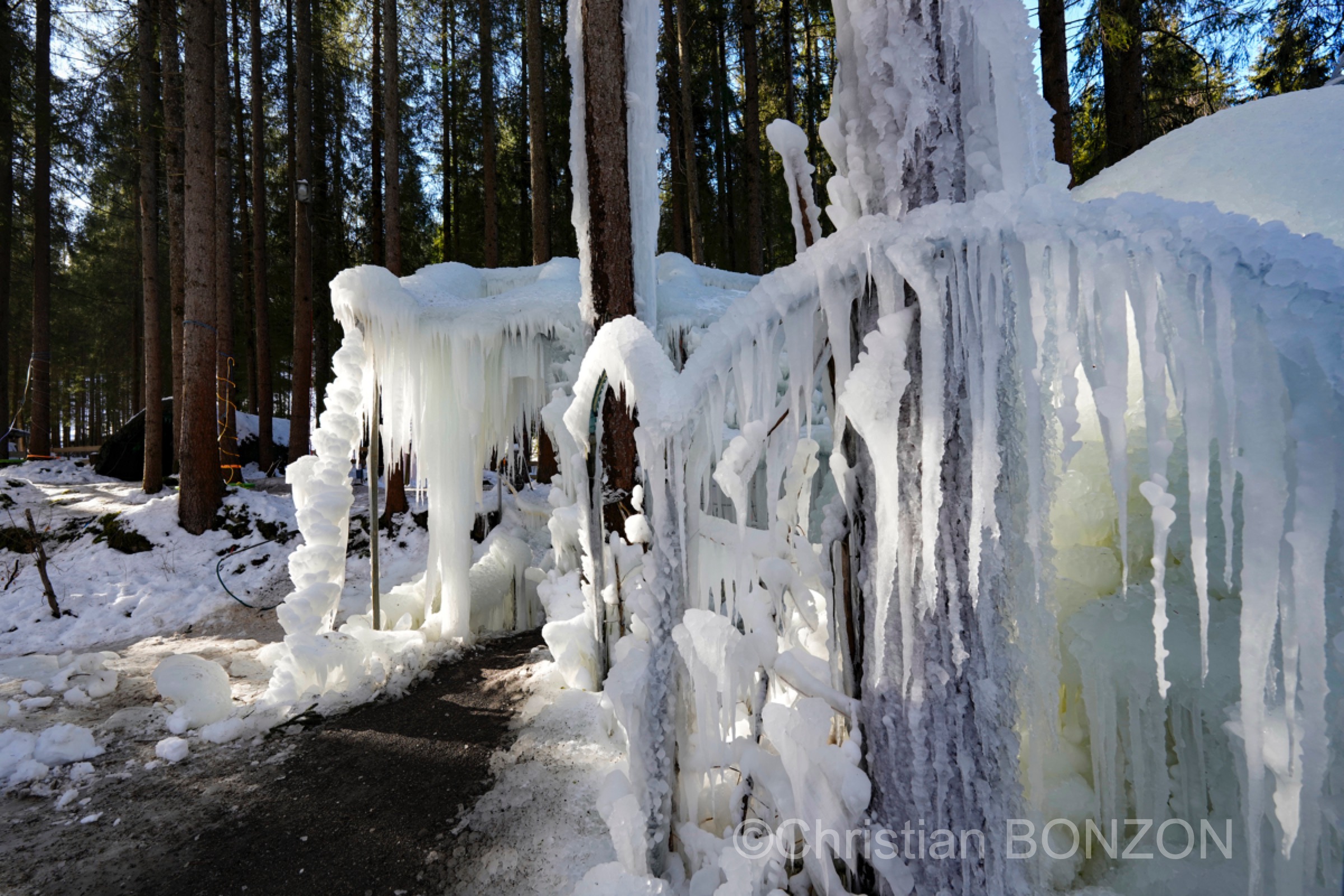 sculptures_gelees_Schwarzsee012