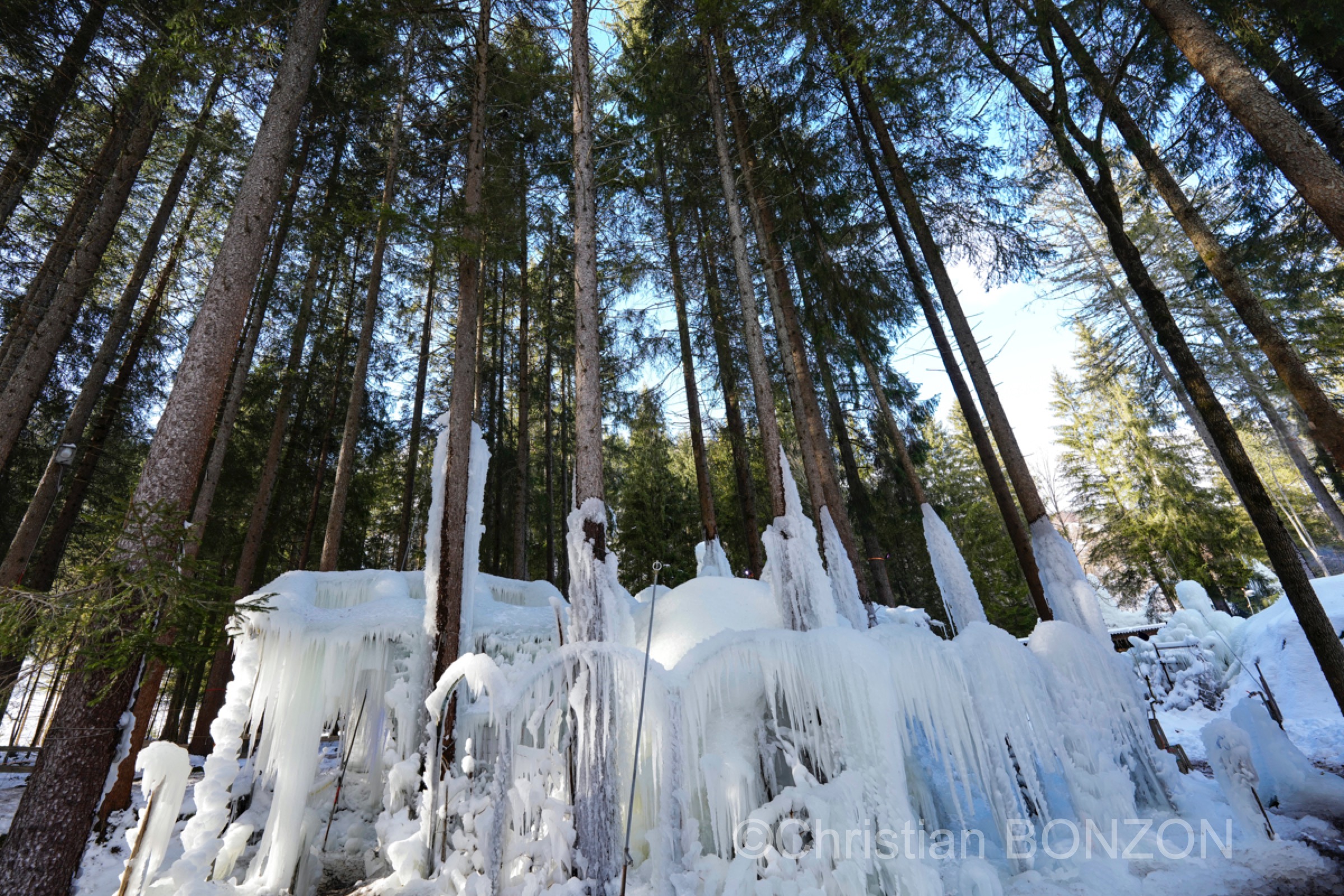 sculptures_gelees_Schwarzsee013