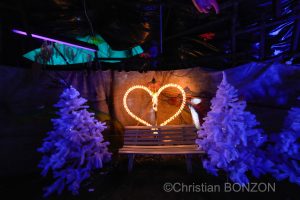 sculptures_gelees_Schwarzsee014