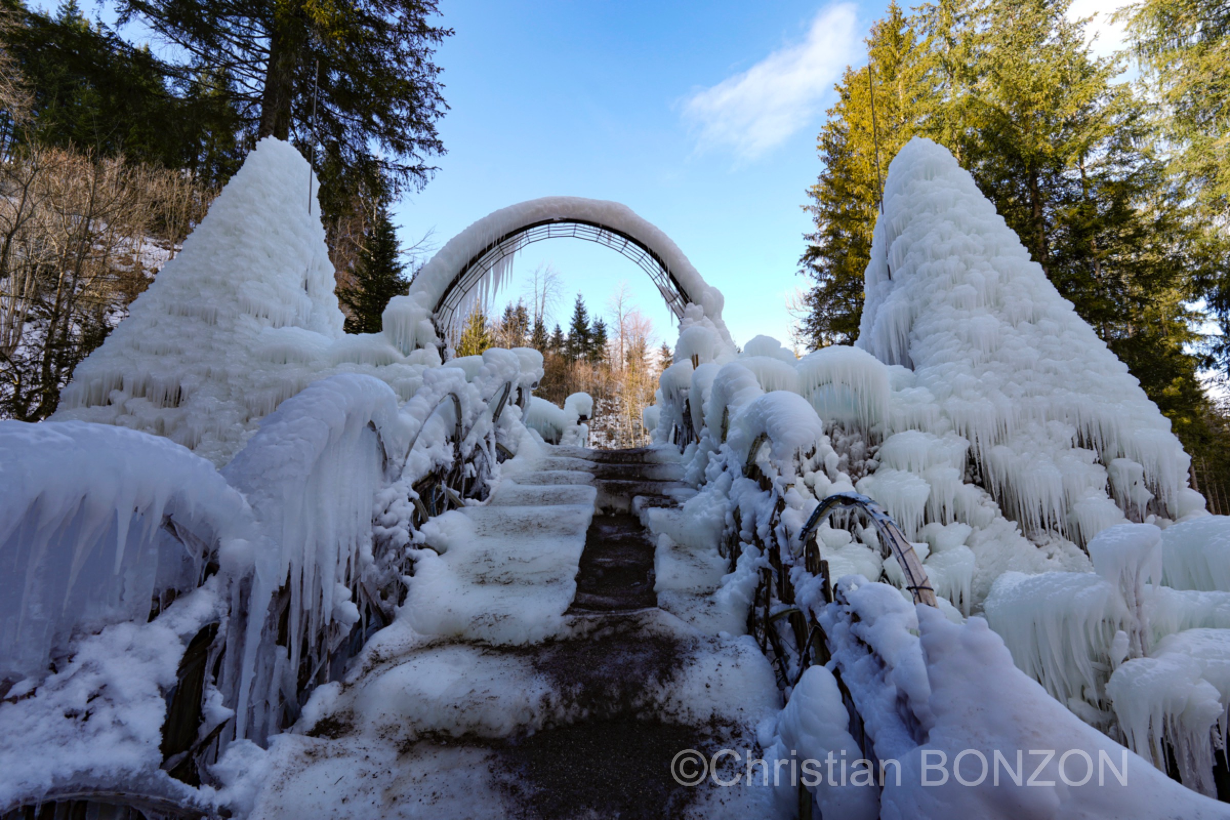sculptures_gelees_Schwarzsee017