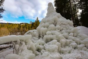 sculptures_gelees_Schwarzsee020