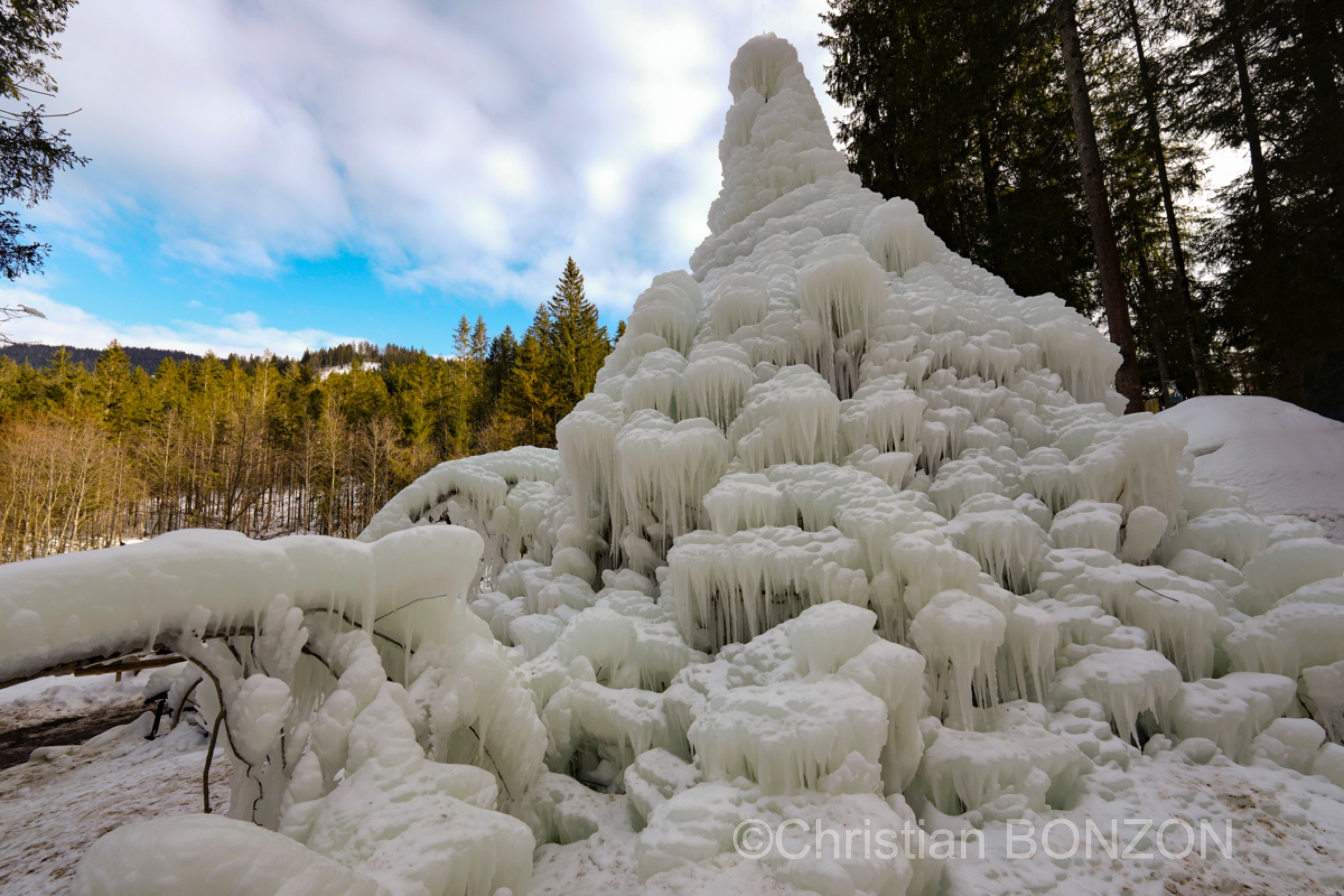 sculptures_gelees_Schwarzsee020