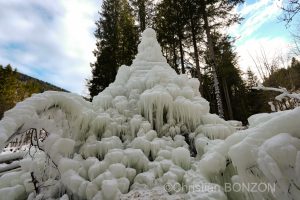 sculptures_gelees_Schwarzsee021