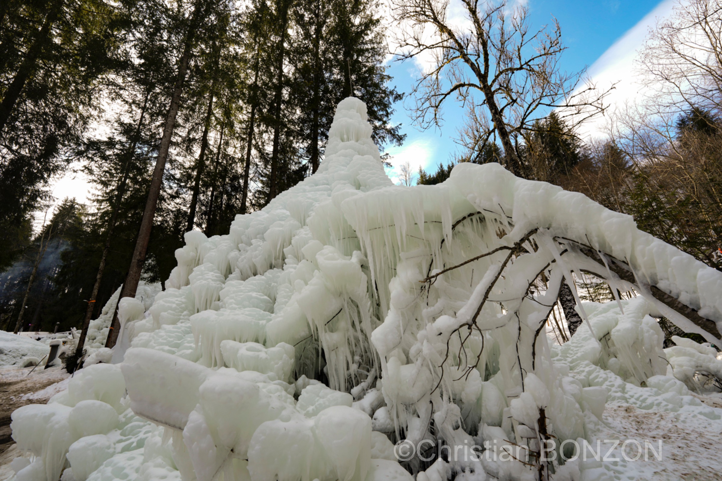 sculptures_gelees_Schwarzsee022