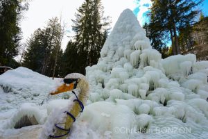 sculptures_gelees_Schwarzsee026