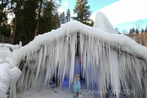 sculptures_gelees_Schwarzsee027