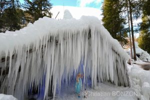 sculptures_gelees_Schwarzsee028