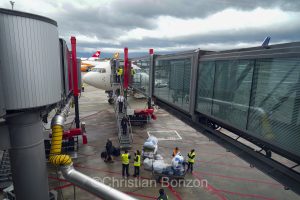 Lions de Geneve face au BBC Monthey