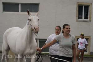 Marche-Concours 11-12-13 Aout 2023_SaigneLegier