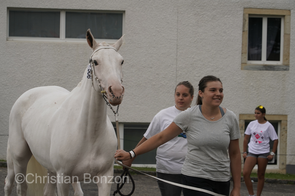 Marche-Concours 11-12-13 Aout 2023_SaigneLegier