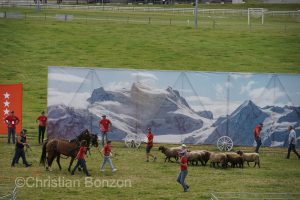 Marche-Concours 11-12-13 Aout 2023_SaigneLegier