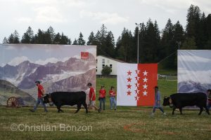 Marche-Concours 11-12-13 Aout 2023_SaigneLegier