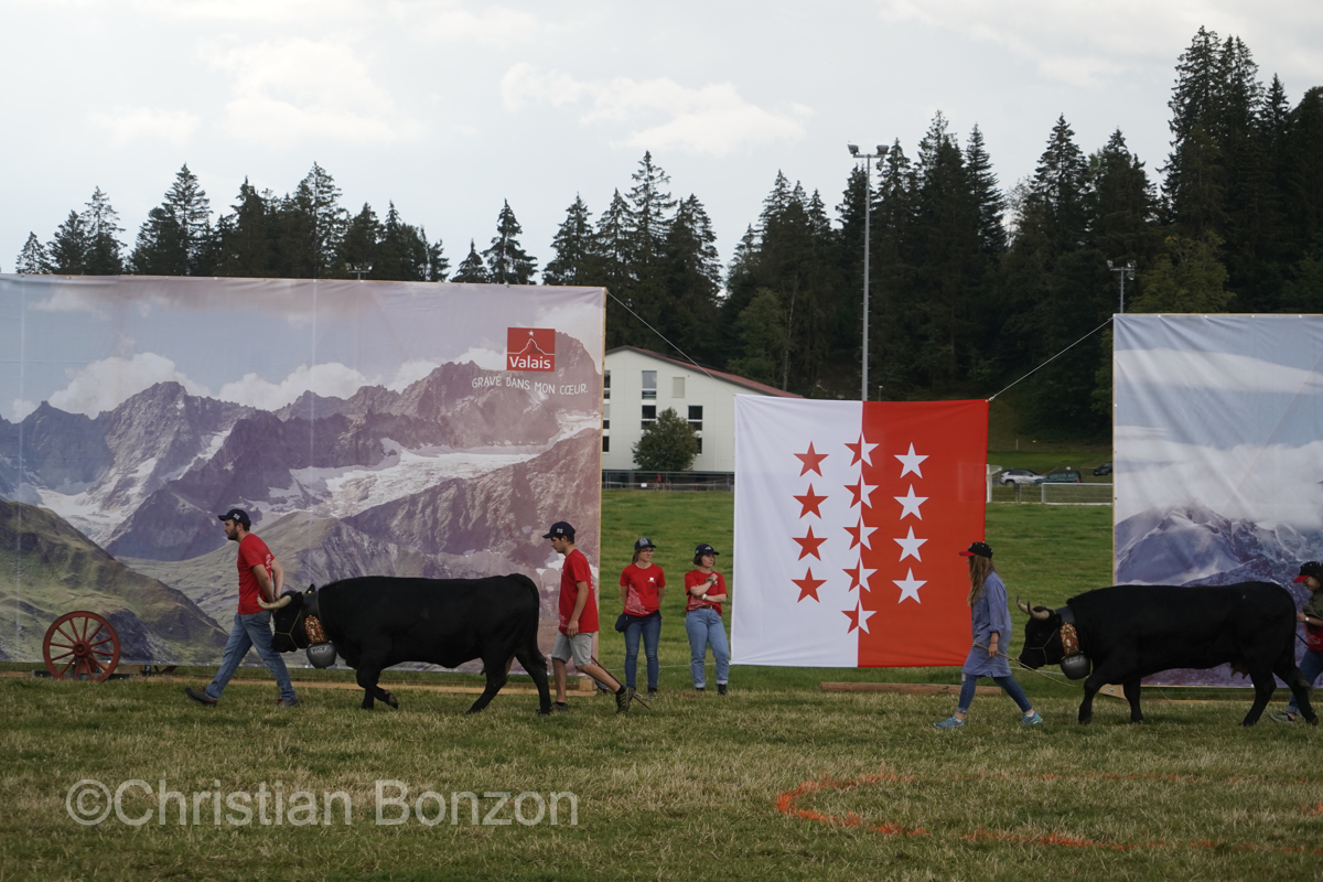 Marche-Concours 11-12-13 Aout 2023_SaigneLegier