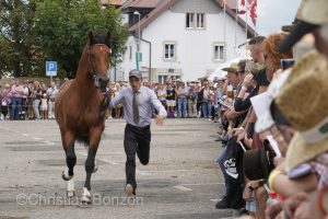 Marche-Concours 11-12-13 Aout 2023_SaigneLegier