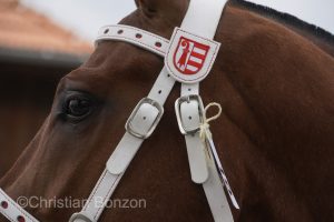 Marche-Concours 11-12-13 Aout 2023_SaigneLegier