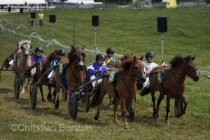Marche-Concours 11-12-13 Aout 2023_SaigneLegier