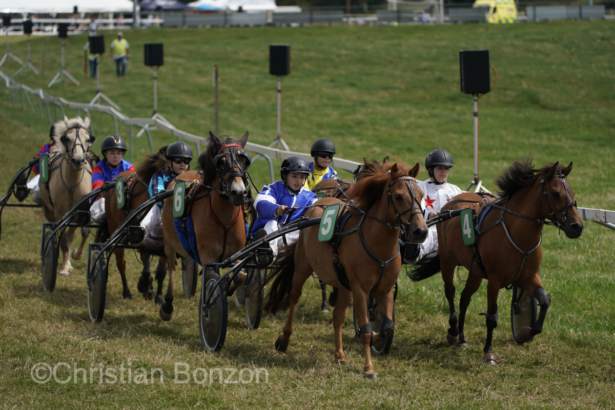 Marche-Concours 11-12-13 Aout 2023_SaigneLegier
