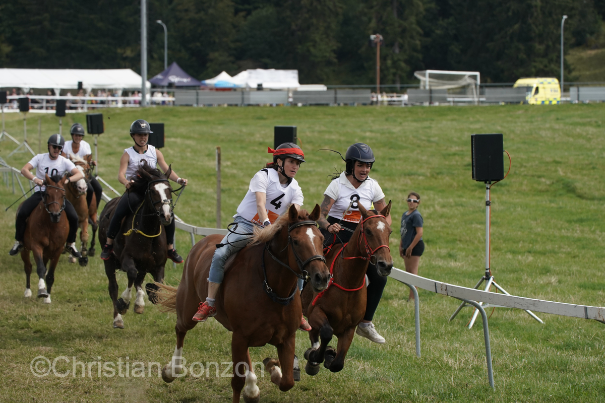 Marche-Concours 11-12-13 Aout 2023_SaigneLegier